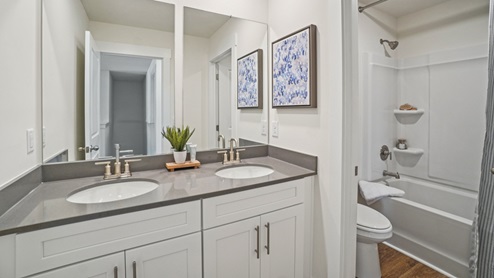 Interior bathroom with two sinks and tub and shower combo