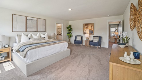 Interior primary bedroom with natural lighting and primary bathroom