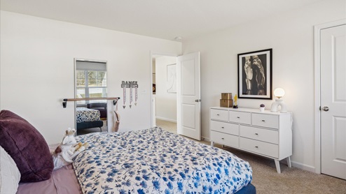 Secondary bedroom with large closet