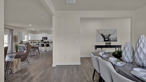 Open floor plan concept with dining, living and kitchen area