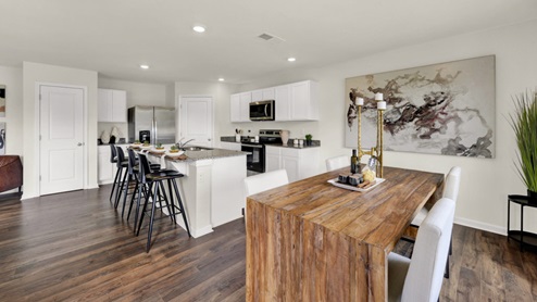 Darwin plan home interior