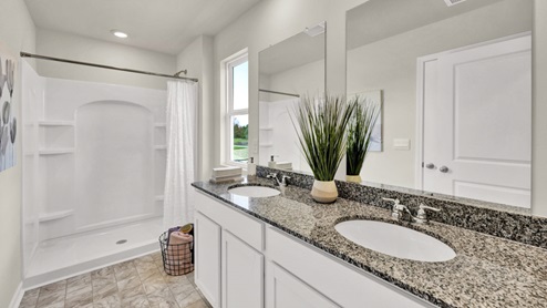 Darwin plan home interior