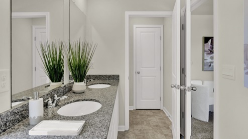 Darwin plan home interior