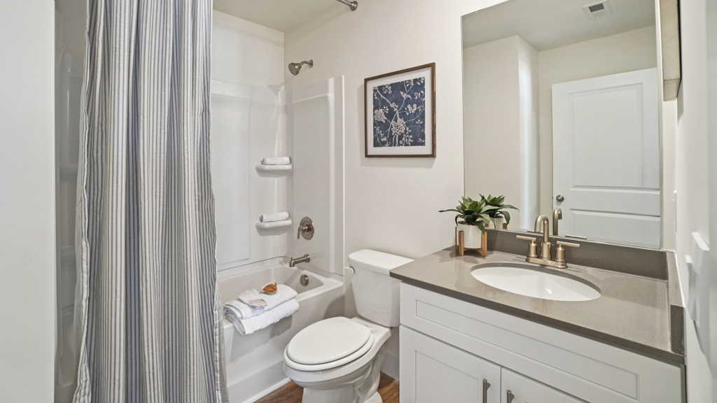Second bath with built-in tub-shower combo, vanity, sink, lighting, stylish finishes in Polo Fields