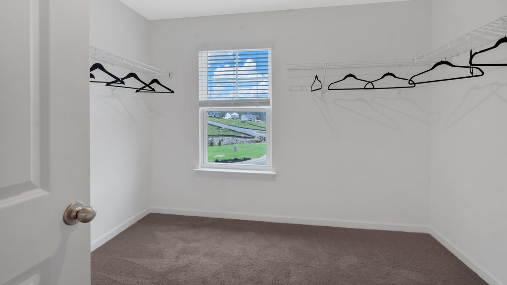 Spacious primary walk-in closet with wall-mounted wire shelving, carpeted flooring, and a window providing natural light and a view of the neighborhood.