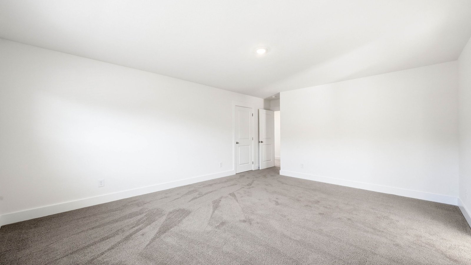 Large bedroom with carpet
