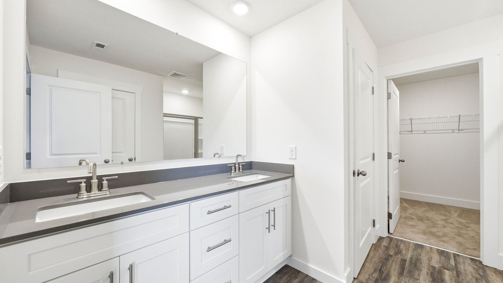 Bathroom with walk-in closet