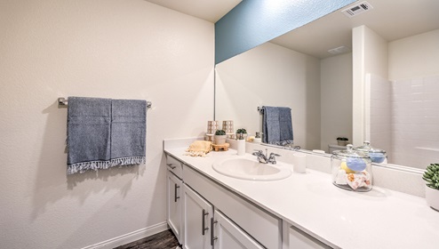 Bathroom Two in our Cambria Bay 1865 model with granite countertops at the Bath Vanity, a walk-in shower, mirror, and grey cabinets.