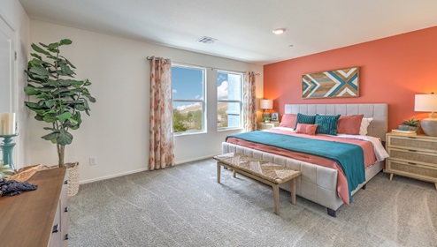 The Bedroom One Suite in our Tribute Trails 1309 model with carpet flooring, an accent wall, walk-in closet, and recessed ceiling lights.