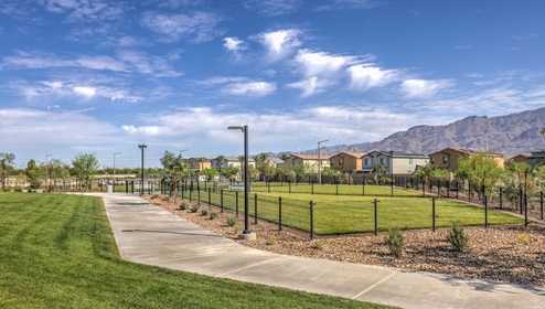 Our Juno Pointe Community Dog Park.