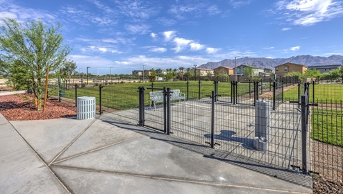 Our Juno Pointe Community Dog Park.