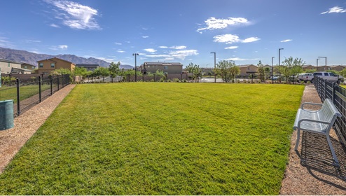 Space for large dogs in our Community Dog Park.