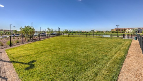 Space for small dogs in our Community Dog Park.