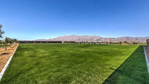 Spirit Park Grass Area