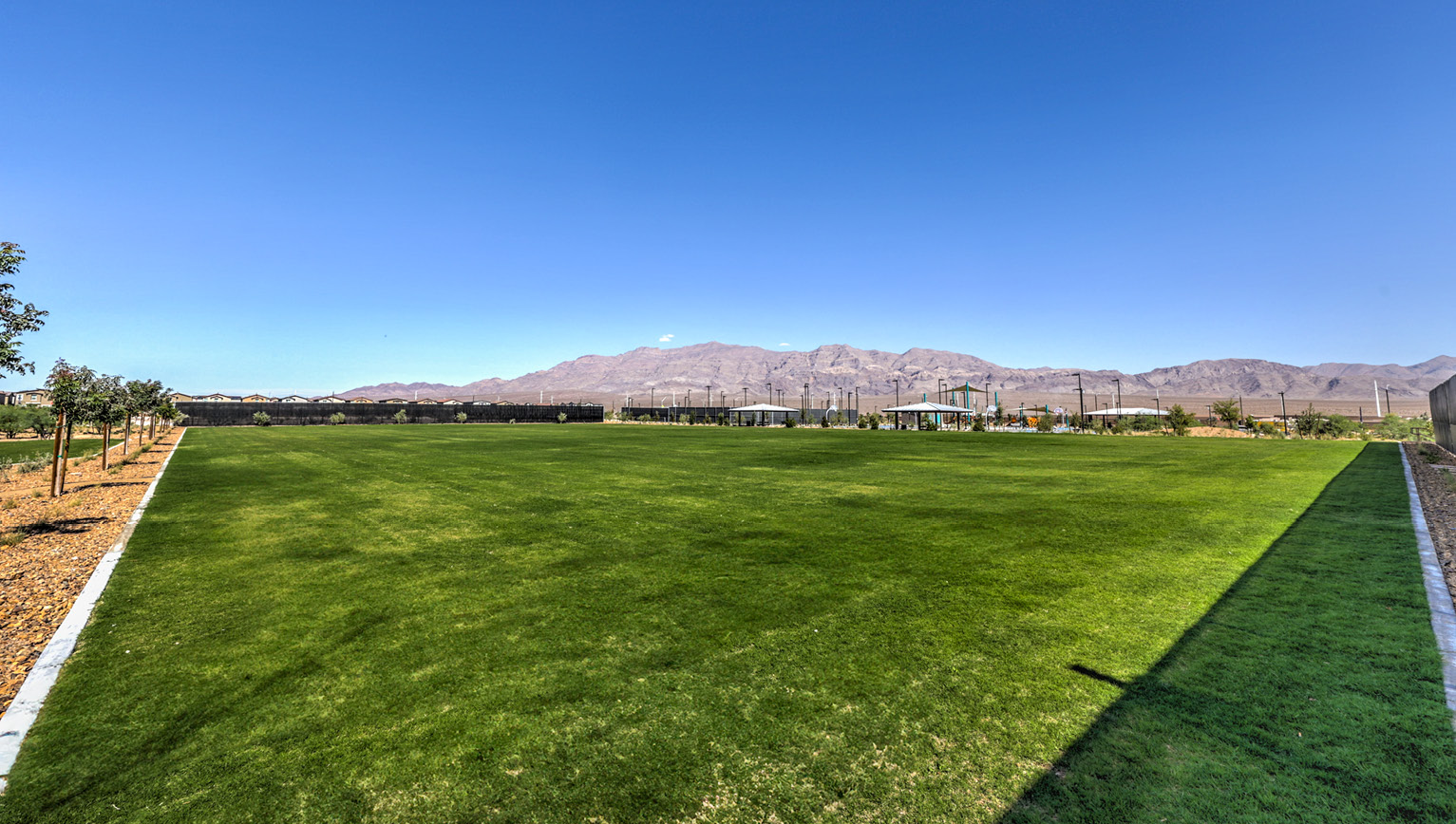 Heartland Grass area