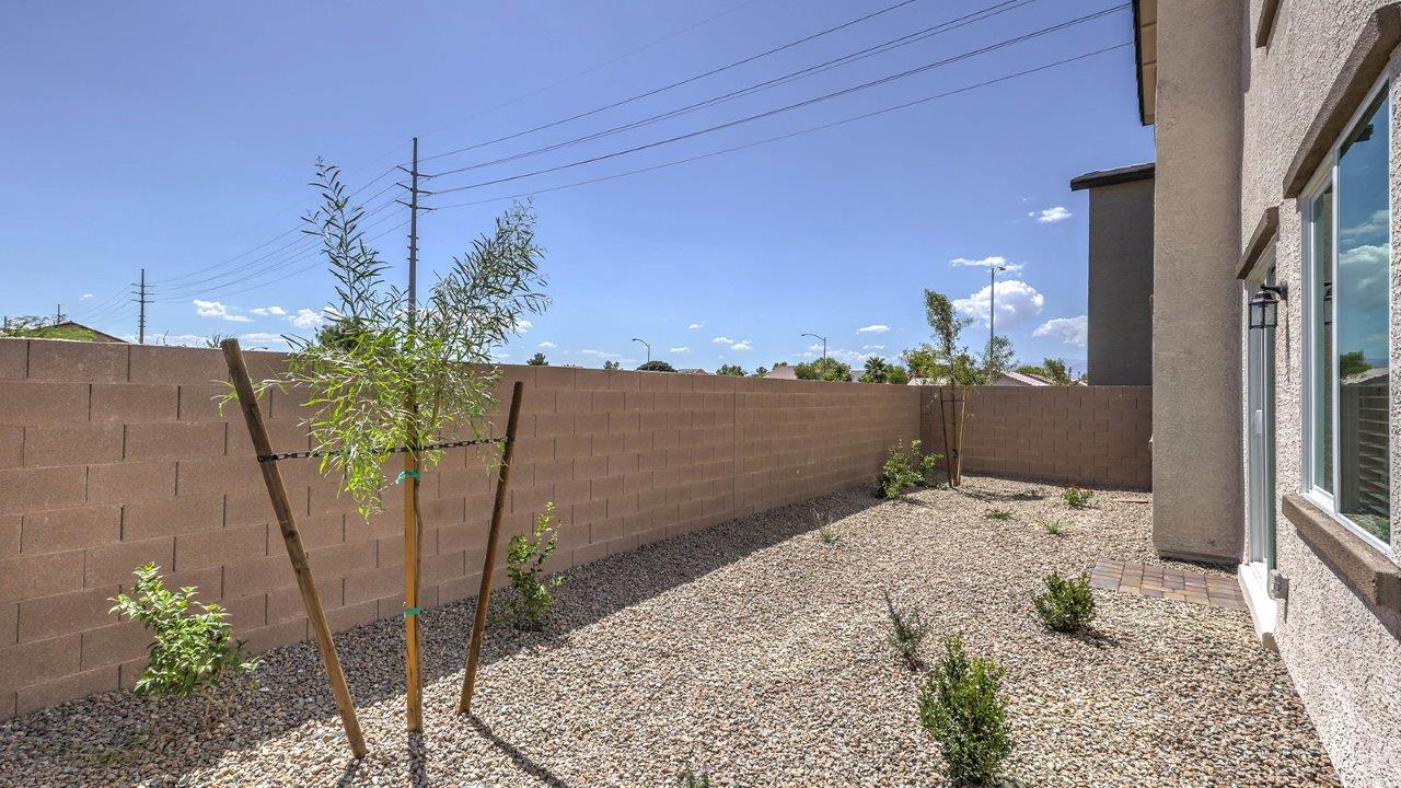 The backyard in our Sky Falls 2660 plan with desert landscaping.