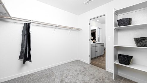 Large carpeted walk-in closet with built-in shelves