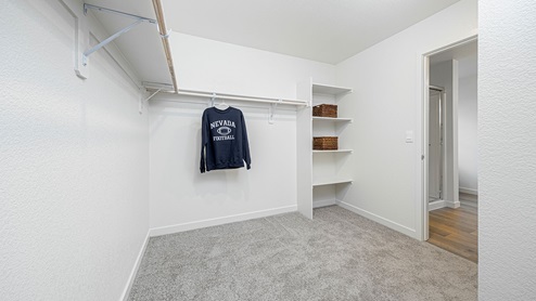 Large carpeted walk-in closet with built in shelves