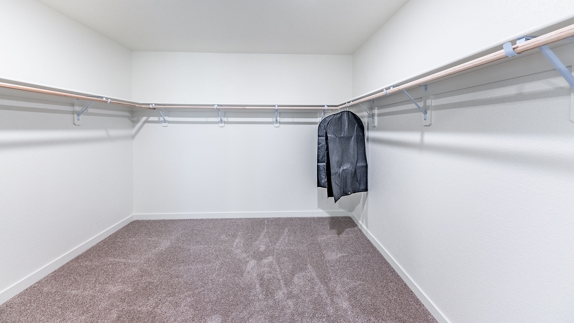 Large walk-in closet with carpet