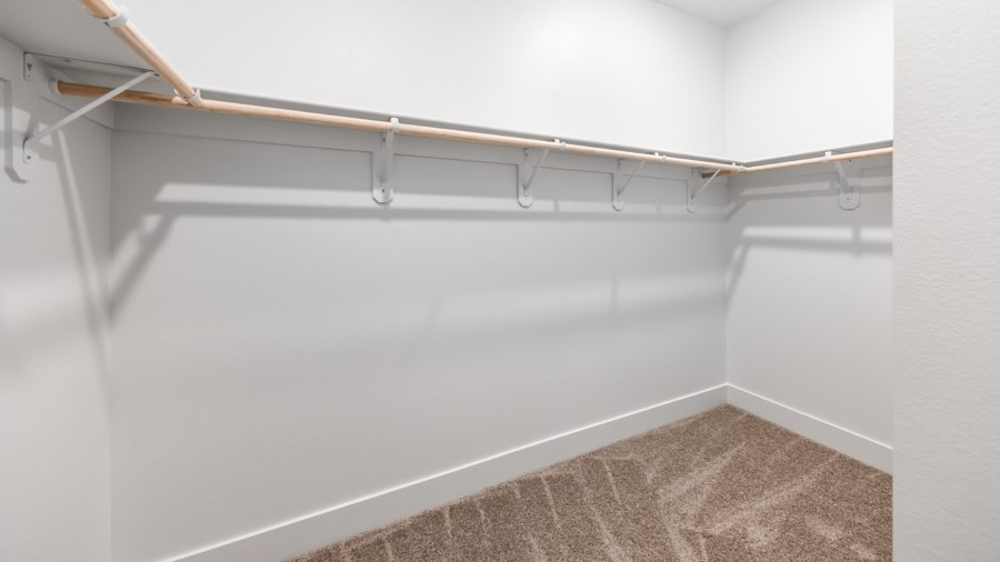 Large walk-in closet with built-in shelves and carpeted floors