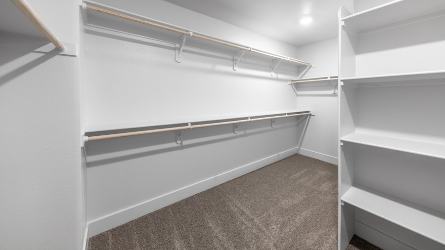 Large walk-in closet with built-in shelves