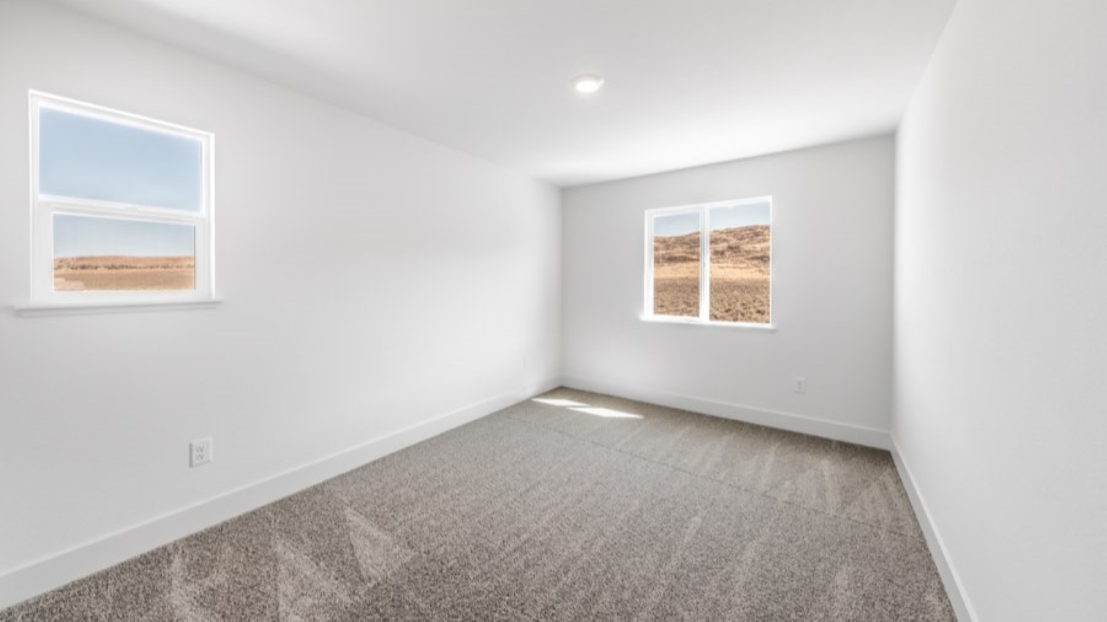 Secondary bedroom with carpet