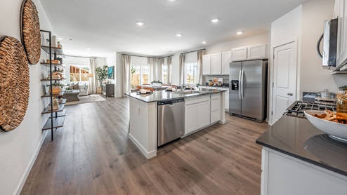 Kitchen island with stainless steel dishwasher looking out into large open-concept living space