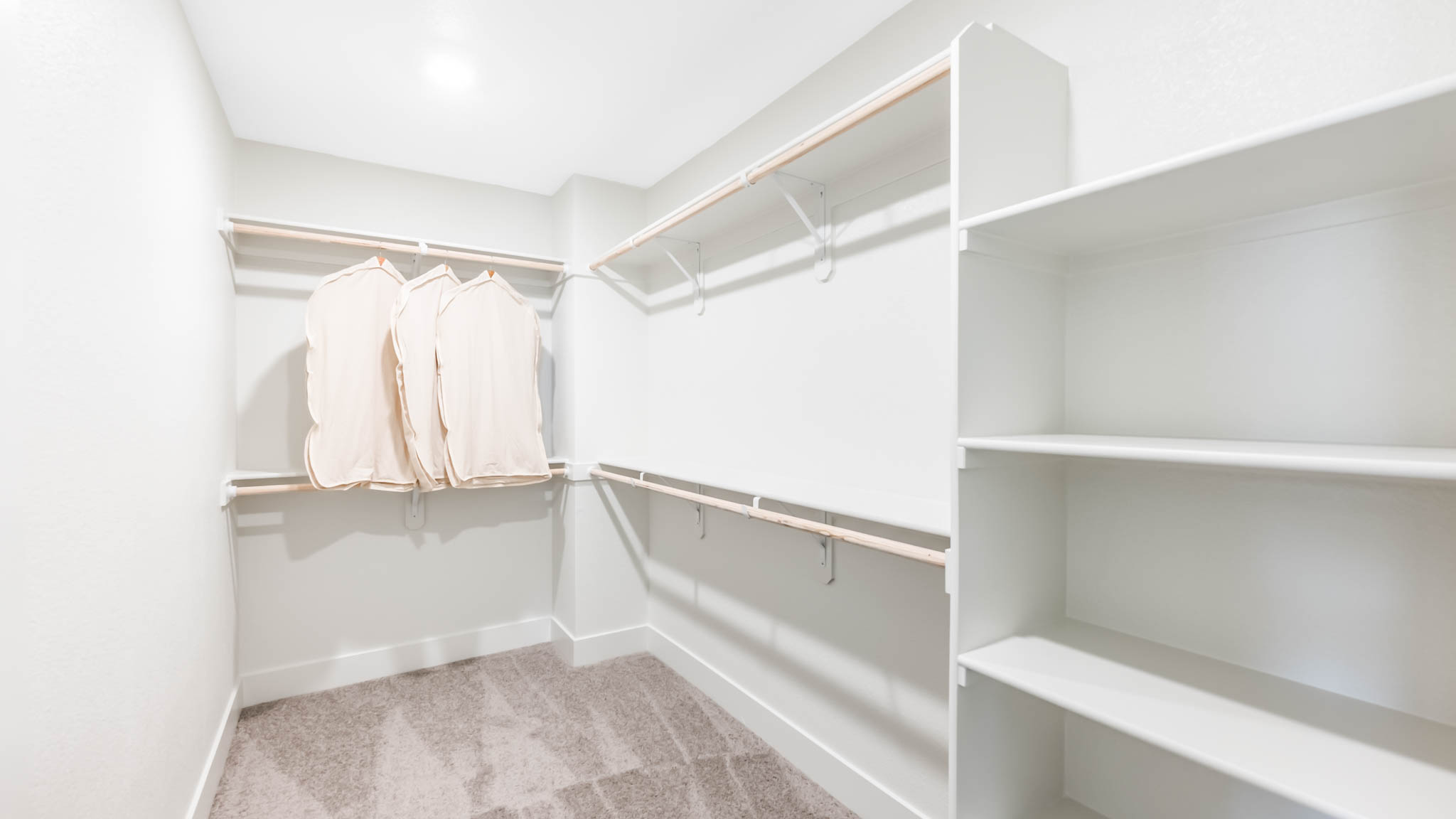 Large primary closet with shelving