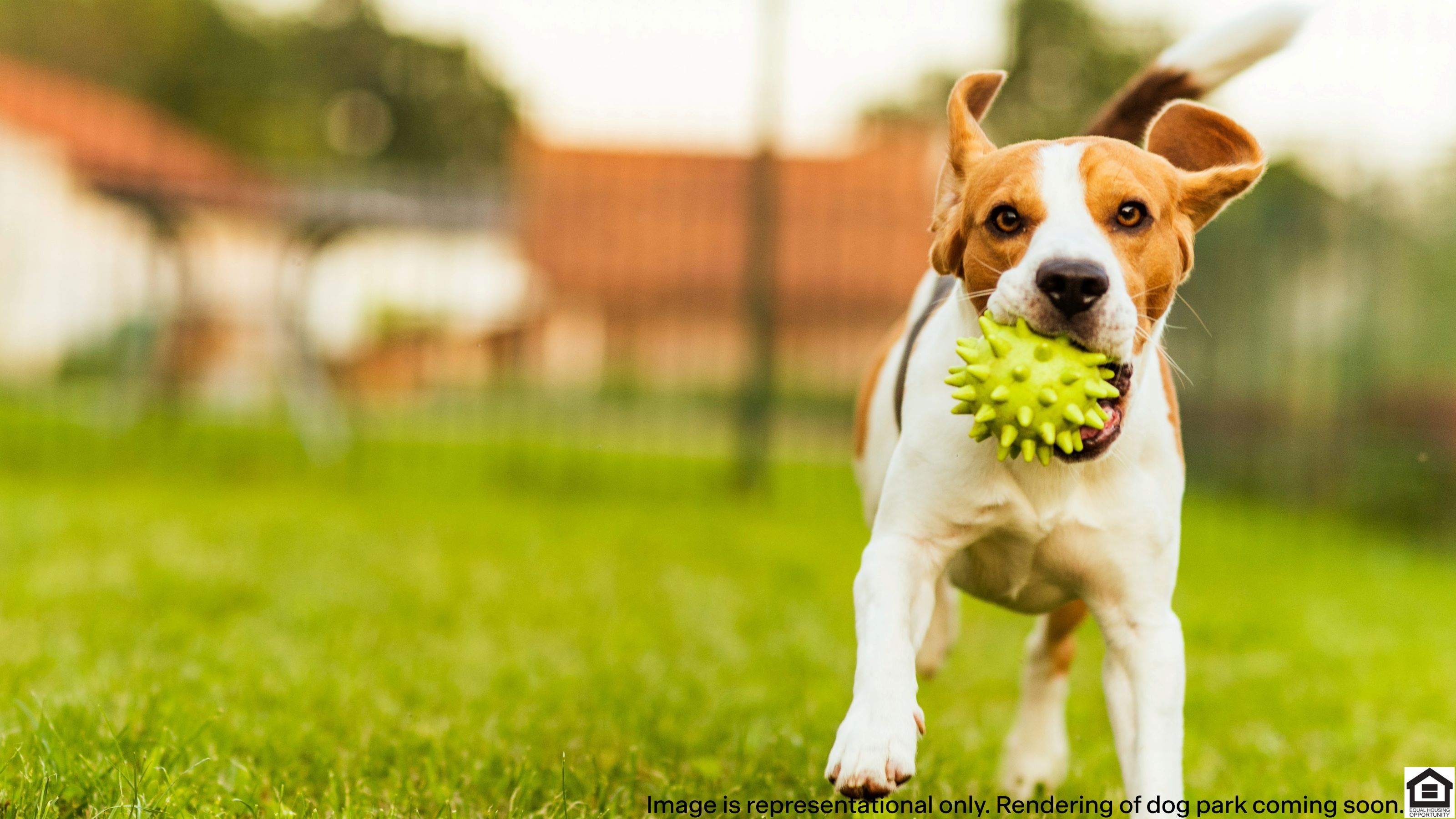 Representational photo of dog park coming soon