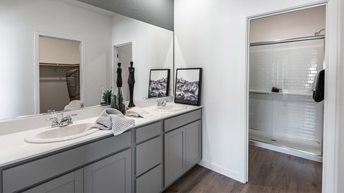 Primary bathroom with double vanity and walk-in closet