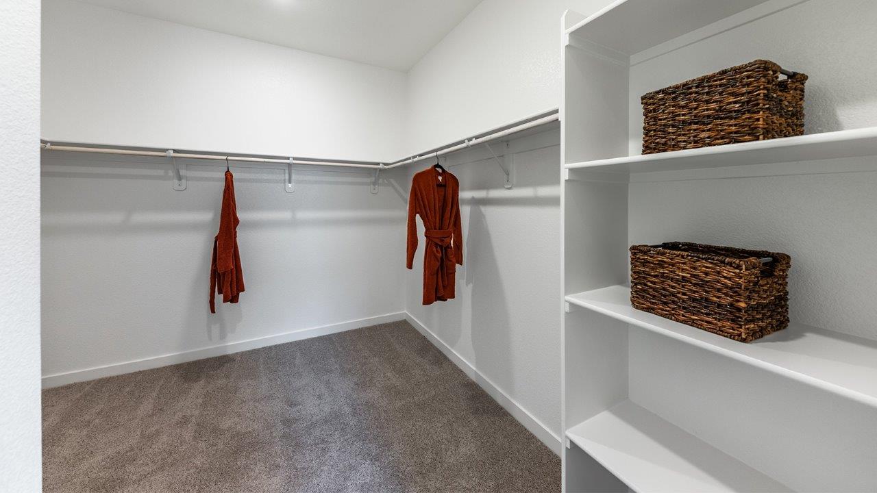 Large walk-in closet with built-in shelves and carpeted floors