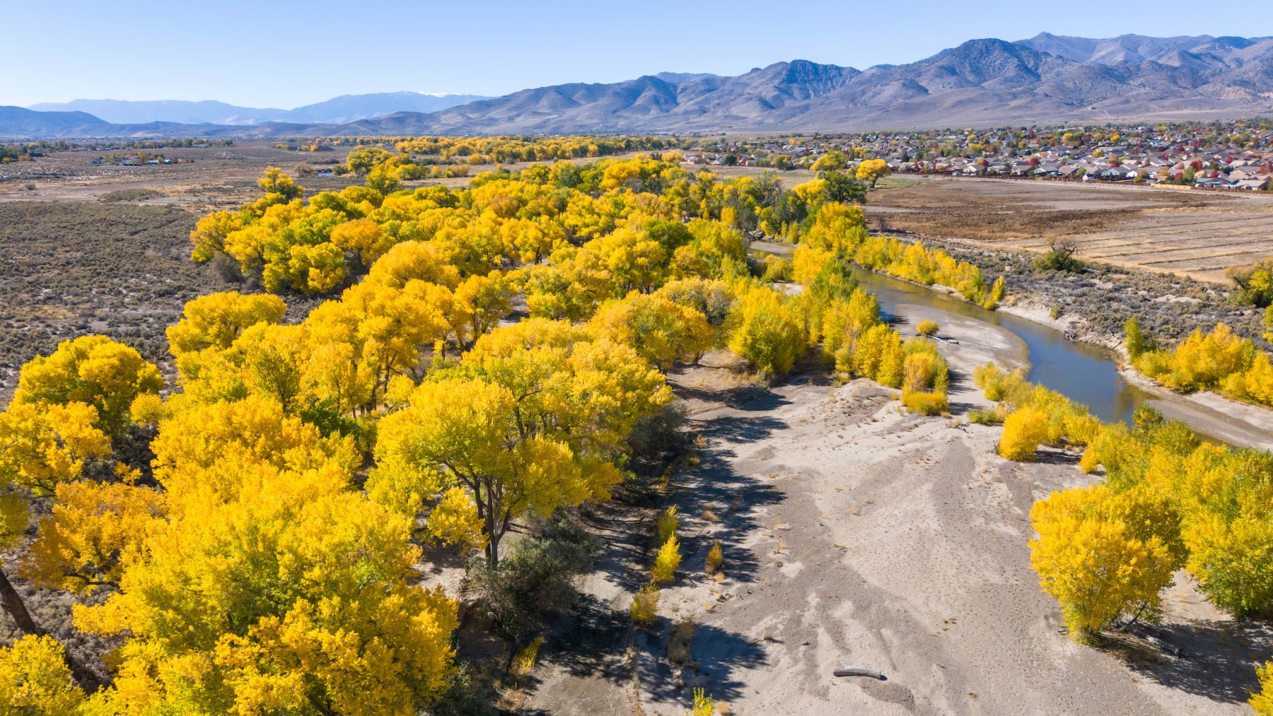 Drone photo of the river and fall tree in Dayton