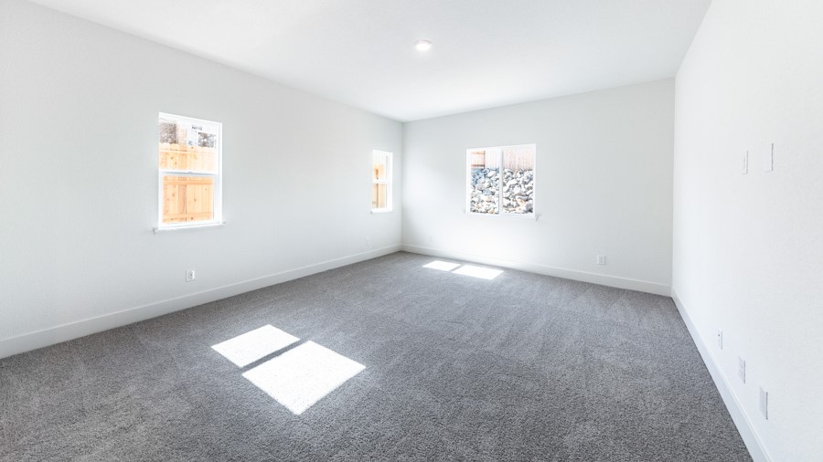 Modern carpeted primary bedroom with large windows