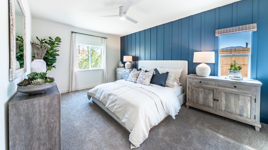 Carpeted primary bedroom with two large windows