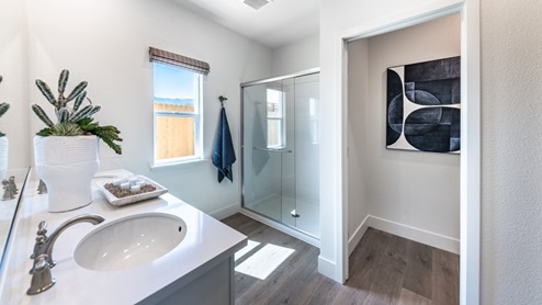 Primary bathroom with walk-in shower and separate room for toilet