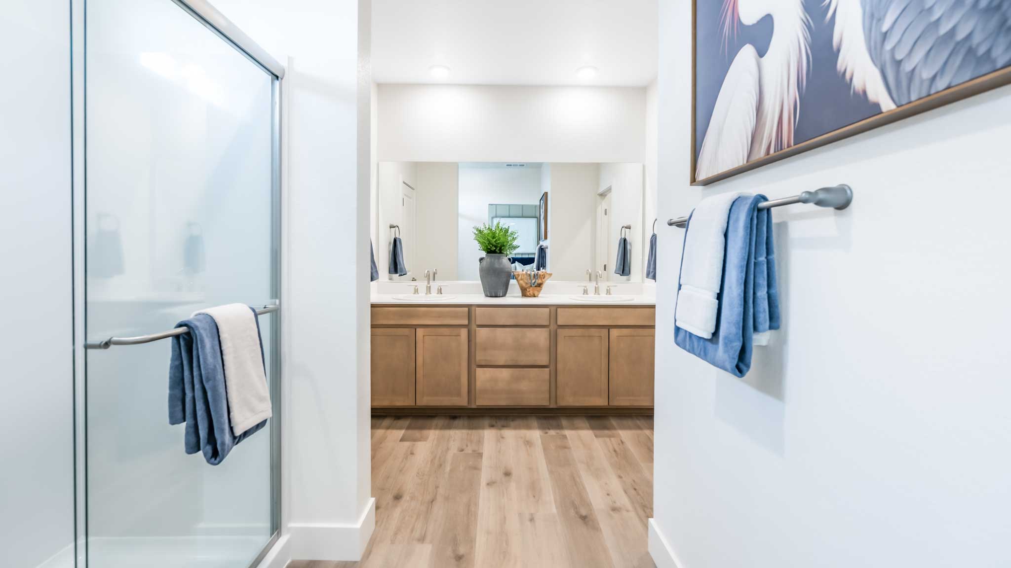 Primary bathroom with walk in shower looking towards the vanity