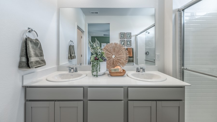 Vanity with dual sinks