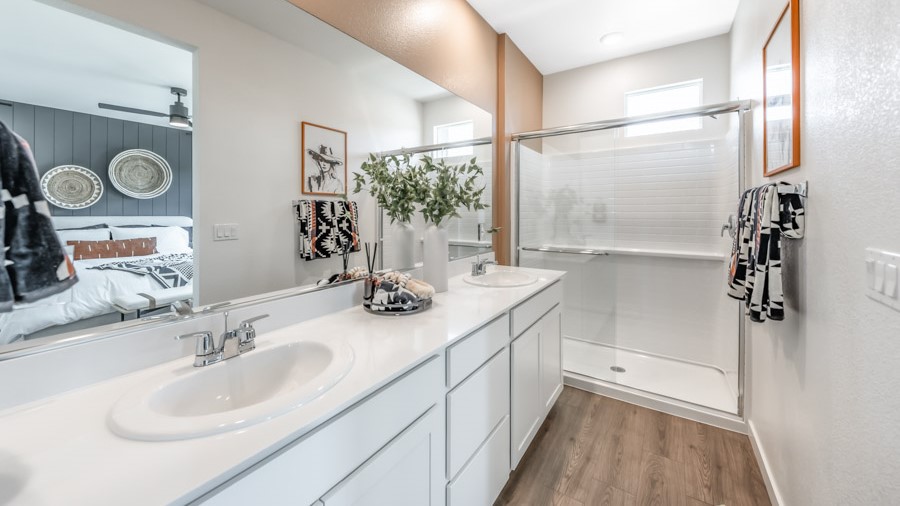 Primary bathroom with vanity and walk-in shower