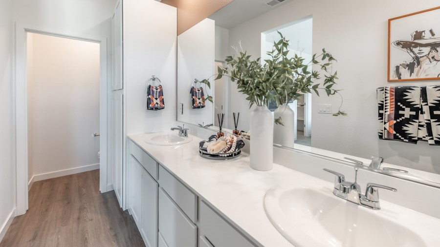 Primary bathroom with double vanity