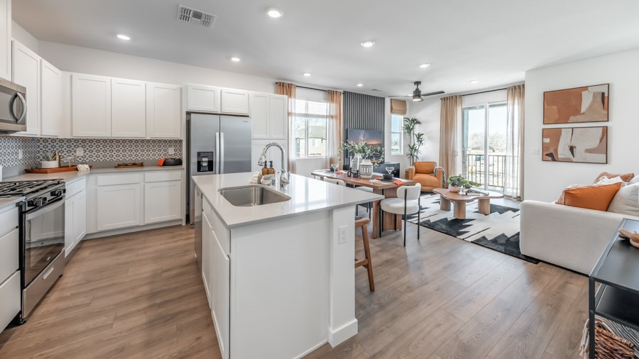 Entry to the open concept great room