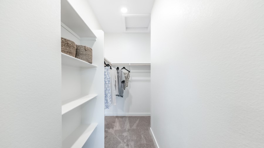 Spacious primary closet with shelving