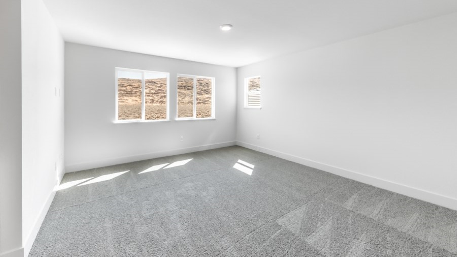 Large primary bedroom with carpeted floor and big windows to let in natural light