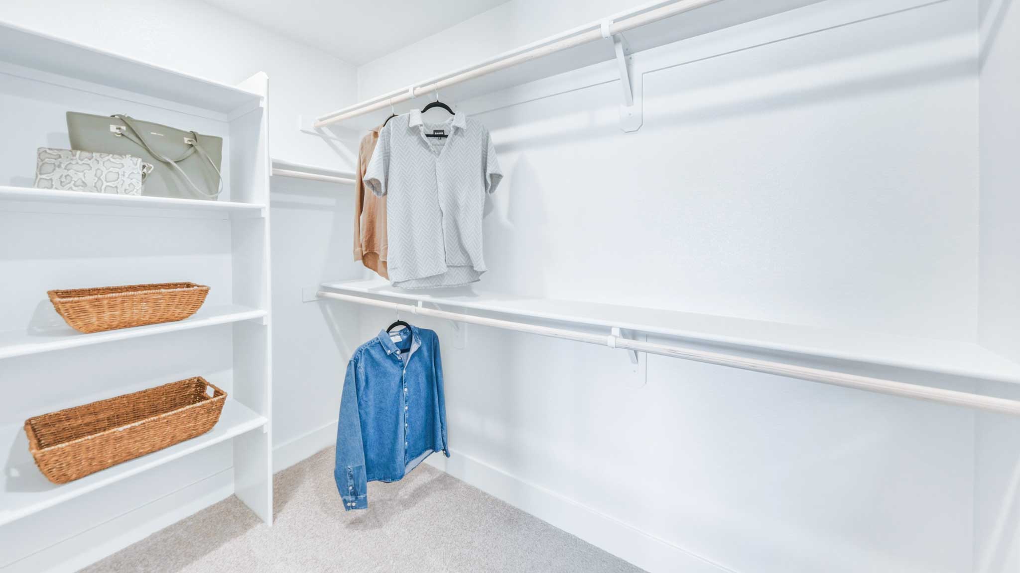 Large primary closet with shelving