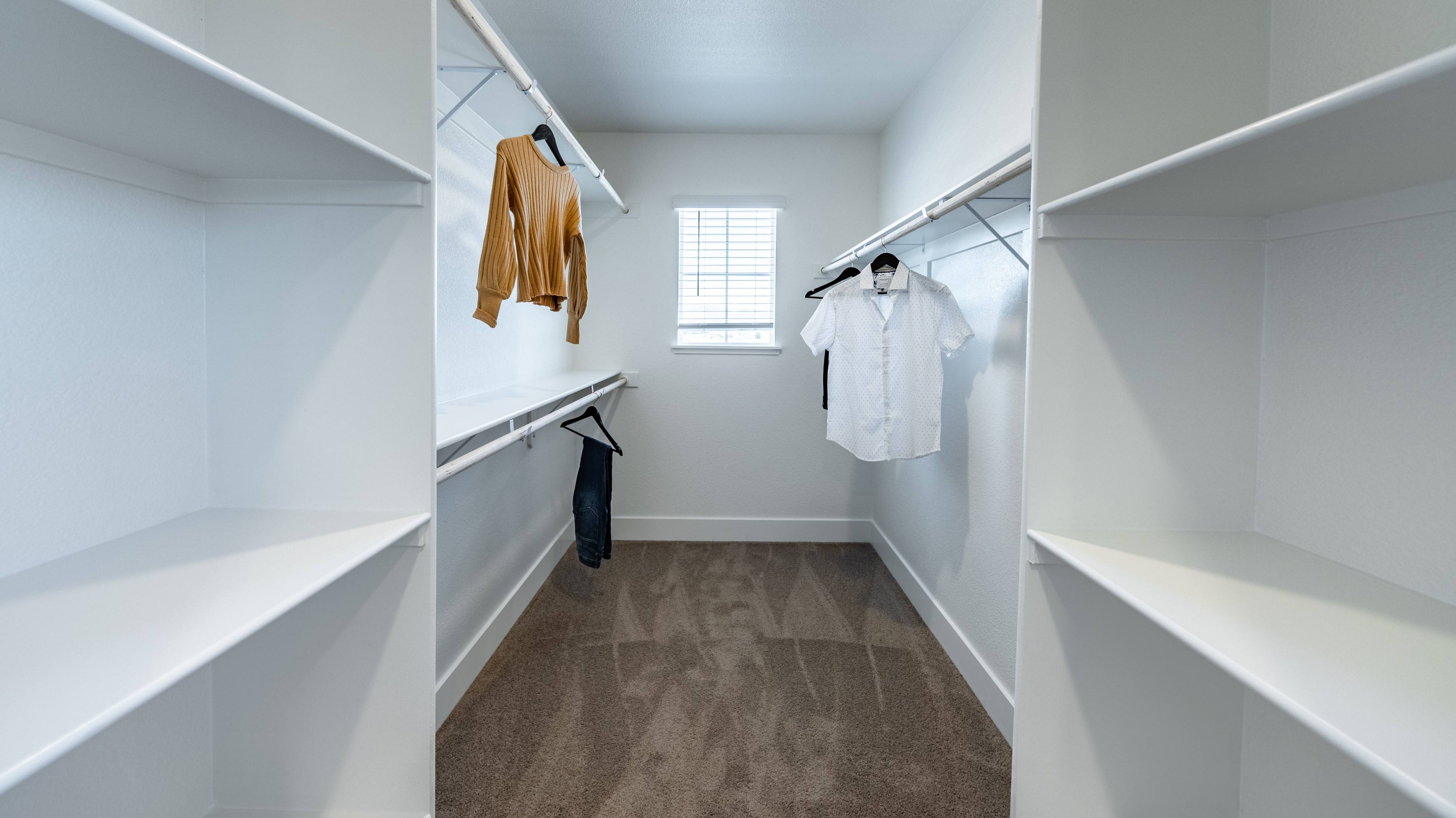 Large primary walk-in closet with a window for light