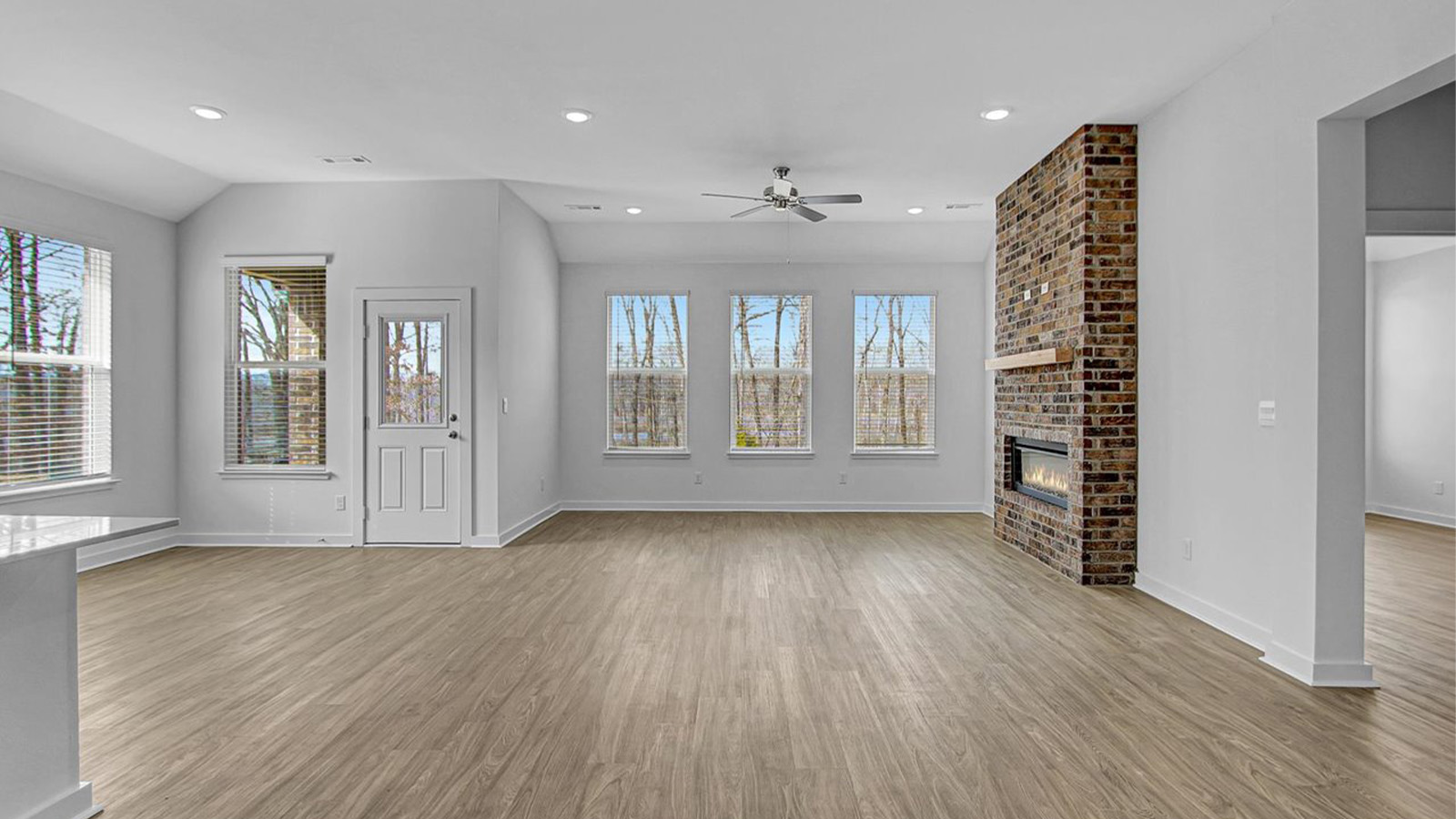 Living room windows