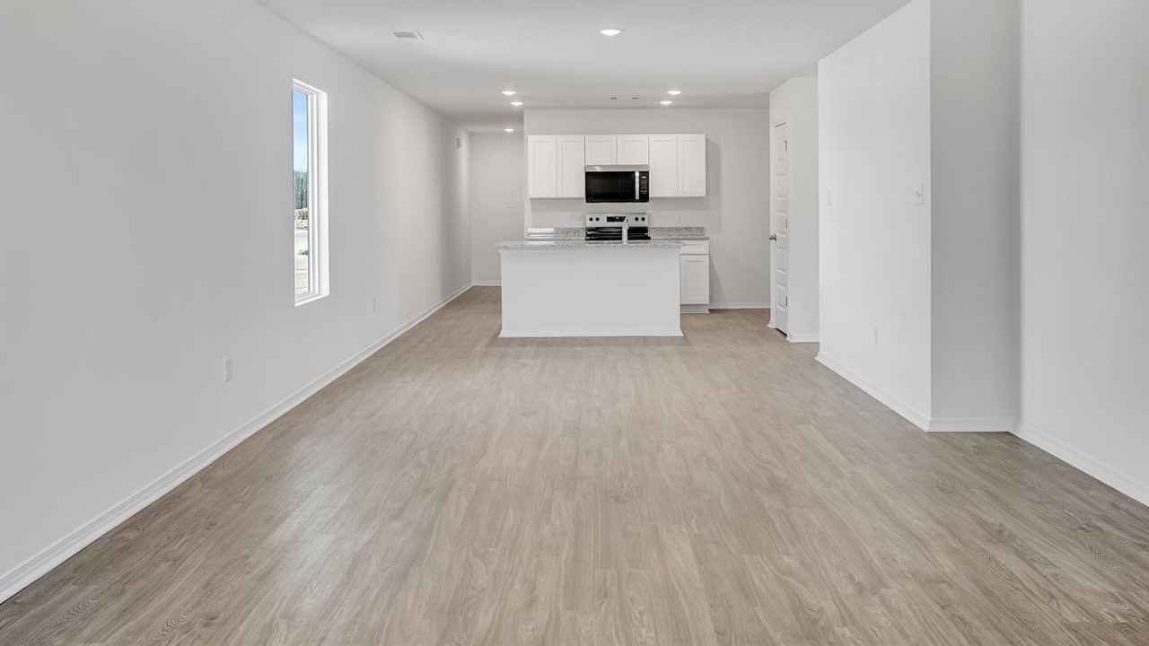 Living room kitchen