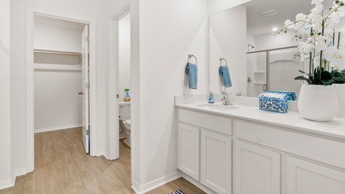 bathroom 1 with white vanity
