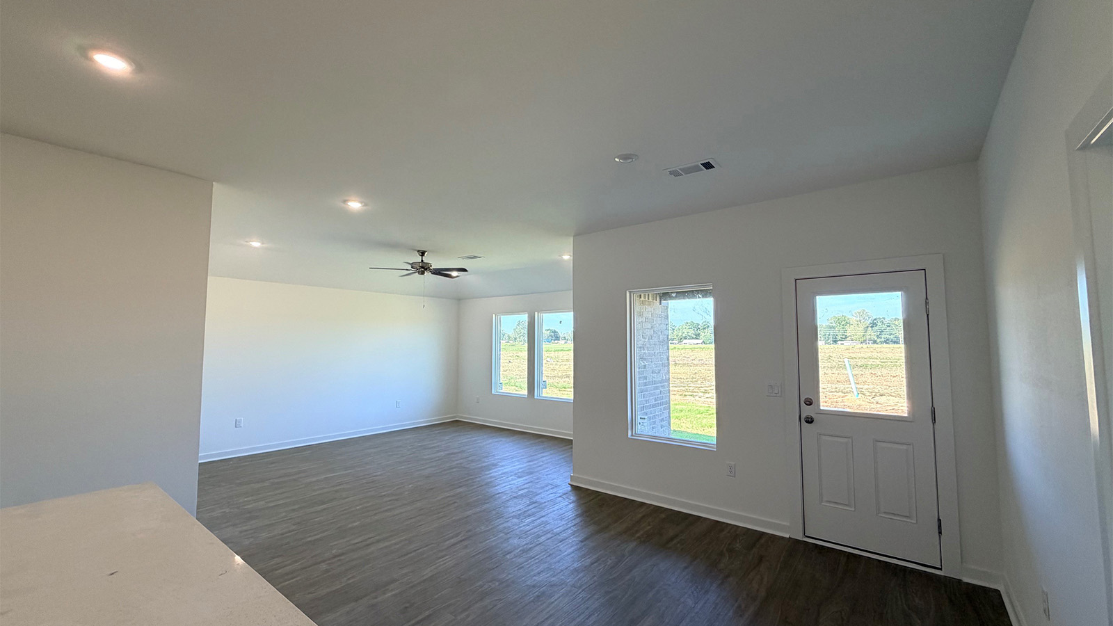 living room back door