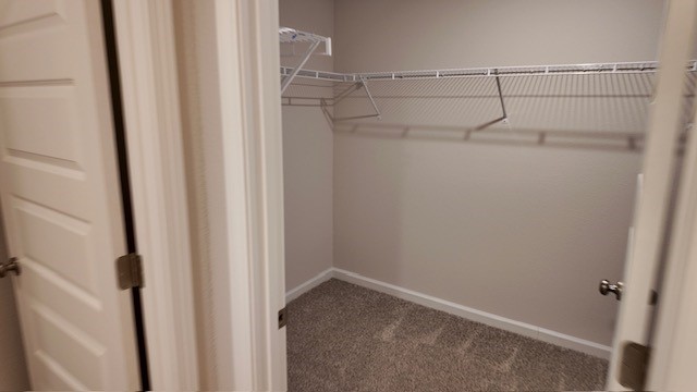 The Lakeside floorplan primary bedroom closet with wire shelving