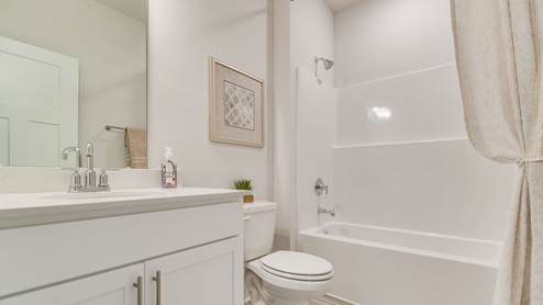 The Rhett guest bathroom with shower and tub combo